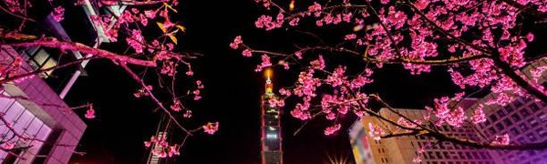 Владивосток и Тайвань впервые соединит регулярное авиасообщение