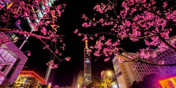 Владивосток и Тайвань впервые соединит регулярное авиасообщение