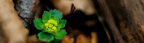 В понедельник воздух в Приморье прогрелся до +17 °C (ФОТО)