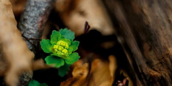 В понедельник воздух в Приморье прогрелся до +17 °C (ФОТО)