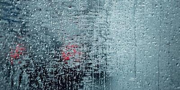 Дождь, снег с дождем и сильный ветер ожидаются в Приморье в среду