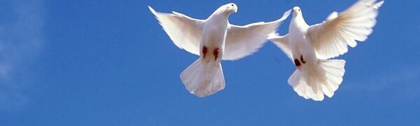 Благовещение: погода и приметы на 7 апреля