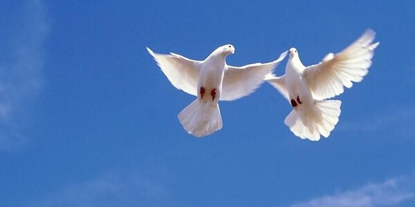 Благовещение: погода и приметы на 7 апреля