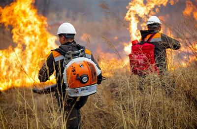 В Приморье ликвидировали два лесных пожара