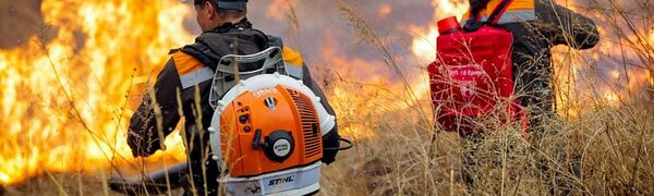 В Приморье ликвидировали два лесных пожара