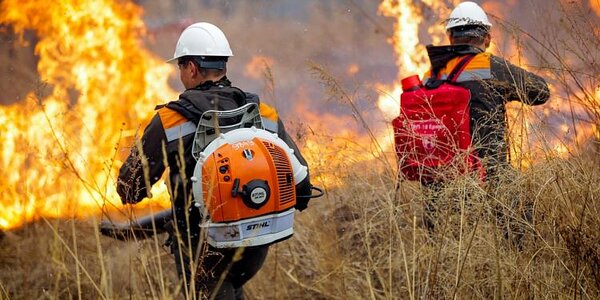 В Приморье ликвидировали два лесных пожара