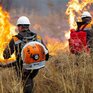 В Приморье ликвидировали два лесных пожара