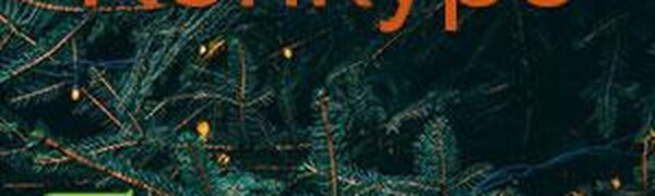 Угадайте погоду во Владивостоке в новогоднюю ночь 2020!