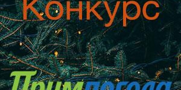 Угадайте погоду во Владивостоке в новогоднюю ночь 2020!