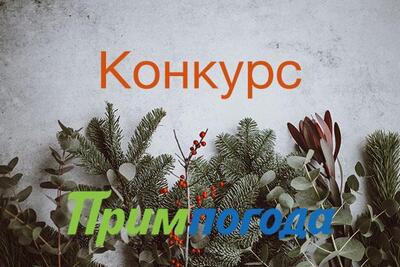 Угадайте погоду во Владивостоке в новогоднюю ночь 2020!