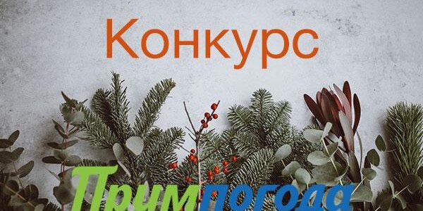 Победители конкурса «Угадай погоду в новогоднюю ночь во Владивостоке!» определены!
