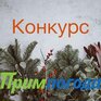 Победители конкурса «Угадай погоду в новогоднюю ночь во Владивостоке!» определены!