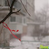 Владивосток: Утренняя метель (ФОТО)