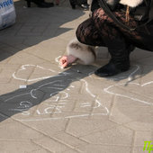14 февраля владивостокцы подарили свои сердца (ФОТО)