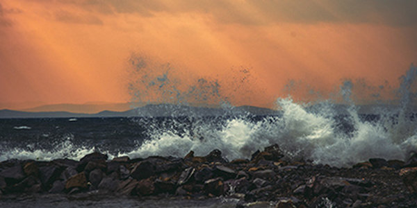 В Приморье снова пройдут дожди