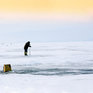 Из-за потепления в Приморье выход на лед для рыбаков стал опасным