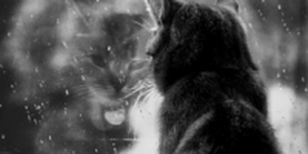 Непогода пришла в Приморье