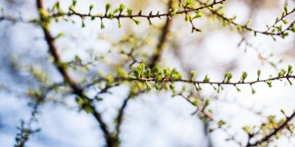 В предстоящее воскресенье погода в Приморье улучшится