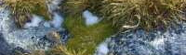 Антарктида скоро превратится в цветущую поляну