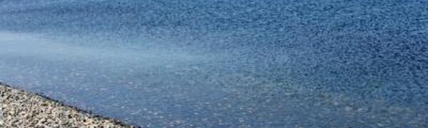 В прибрежных районах Приморья усилят пропускной режим 