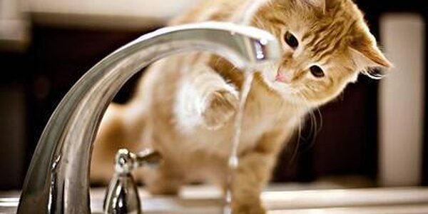 12 мая во Владивостоке стартуют гидравлические испытания