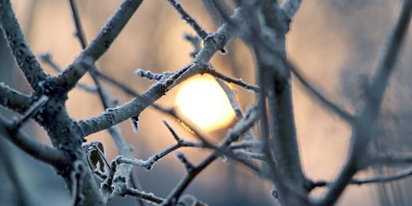 Прогноз погоды на Крещение и выходные в Приморье