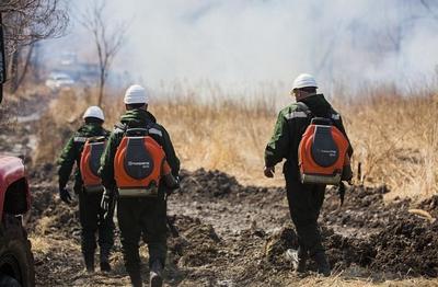 Особый противопожарный режим ввели в Хасанском районе Приморья