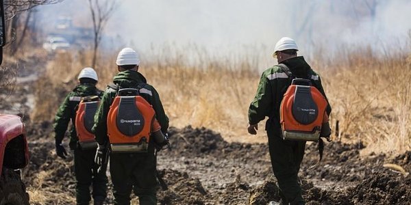 Особый противопожарный режим ввели в Хасанском районе Приморья