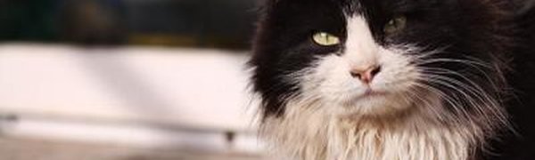 На следующей неделе в Приморье станет теплее, возможен снег