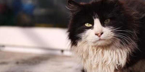 На следующей неделе в Приморье станет теплее, возможен снег