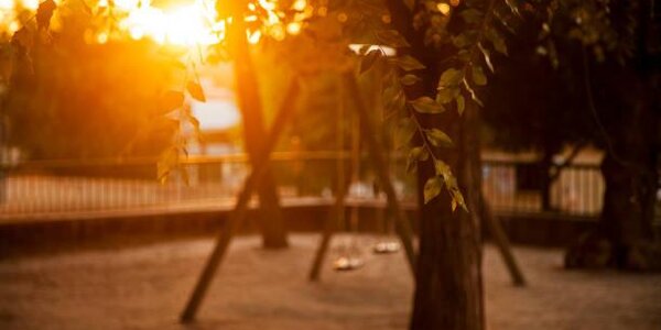 Июль 2019 стал самым тёплым за всю историю метеонаблюдений на планете