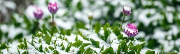 Дождь, местами со снегом, похолодание до -3°С ожидается в горных районах Приморья во вторник ночью