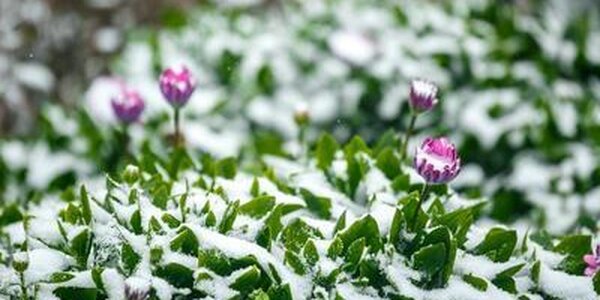 Дождь, местами со снегом, похолодание до -3°С ожидается в горных районах Приморья во вторник ночью