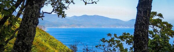 Похолодание, которое пришло в Приморье, больше характерно для начала октября