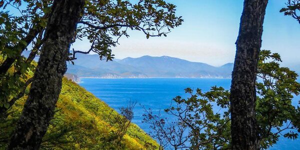 Похолодание, которое пришло в Приморье, больше характерно для начала октября