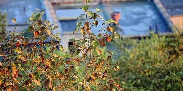 Среднесуточные температуры в Приморье по-прежнему ниже климатических значений