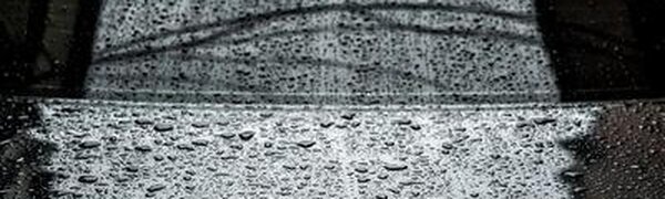 На выходных на севере Приморья выпало до 55 мм осадков под влиянием циклона (бывшего тайфуна «Муифа»