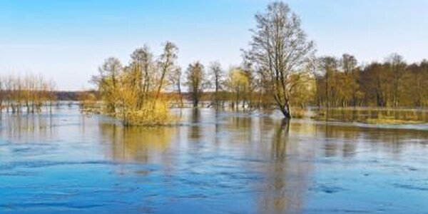 Водность большинства рек Приморья превышает норму в 3,6 раза