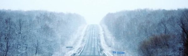 Мокрый снег поможет потушить лесные пожары в Приморье