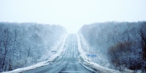 Мокрый снег поможет потушить лесные пожары в Приморье