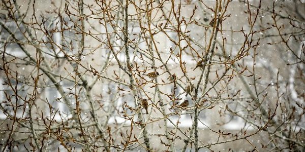 Штормового нет: значительного ухудшения погоды во Владивостоке не ожидается