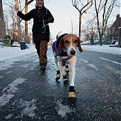 Чрезвычайная ситуация объявлена в трех штатах США из-за снегопадов