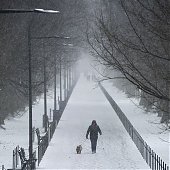 Чрезвычайная ситуация объявлена в трех штатах США из-за снегопадов