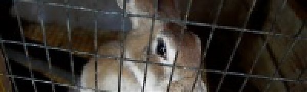 Метеорологи и вирусологи пытаются исправить ошибки охотника