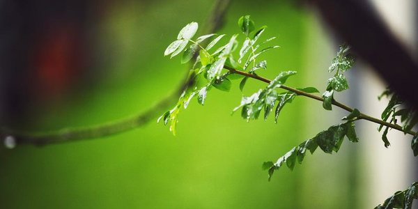 В ближайшие сутки в Приморье сохранится ненастная погода