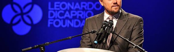 Ди Каприо выступил за освобождение косаток из «китовой тюрьмы» в Приморье