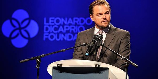 Ди Каприо выступил за освобождение косаток из «китовой тюрьмы» в Приморье