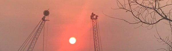 Лесные пожары привели к ухудшению экологической ситуации в Приморье