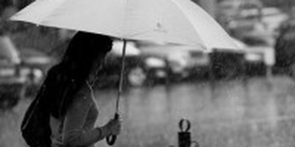 В ближайшие сутки в Приморье дождливо