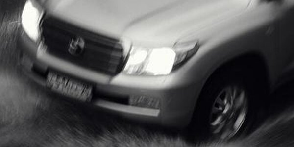 Начало следующей недели в Приморье ожидается дождливым